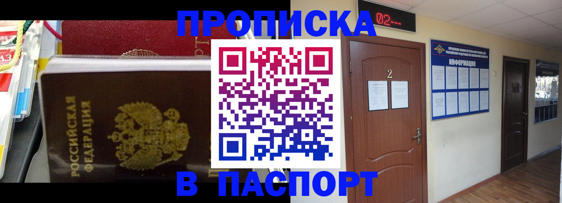 прописка гарантия в Малой Вишере